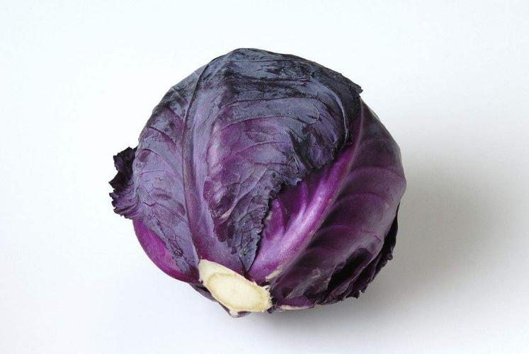 紫色叶菜类蔬菜大全图片