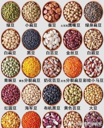 豆类食物一览表