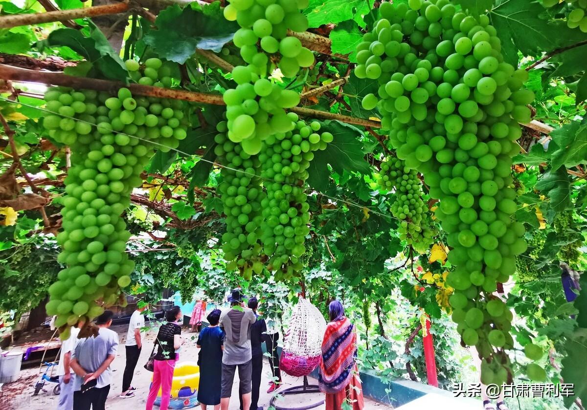 吐鲁番市葡萄沟风景区