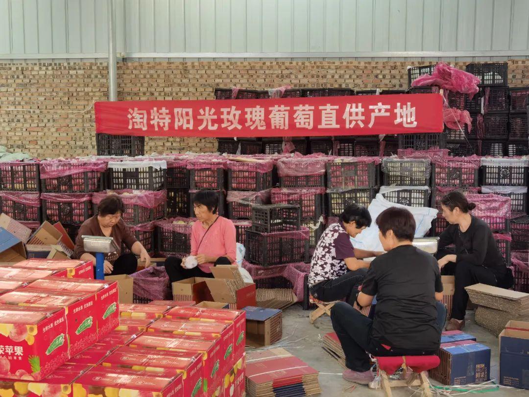 上海摄影师回农村卖水果(上海百香果多少钱一斤)(图3)