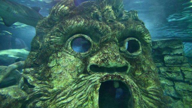 深海最吓人的一张照片