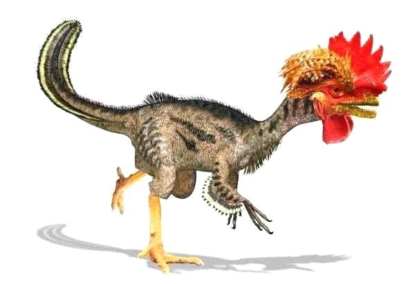 霸王龙进化成鸡图片