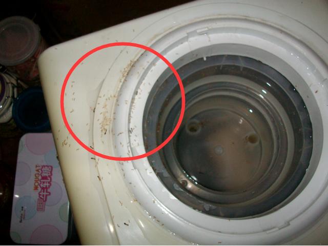 如何清洗饮水机内部的污垢(正确清洗饮水机小妙招)