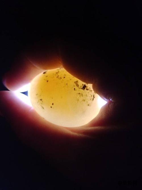 死胎蛋照射的图片图片