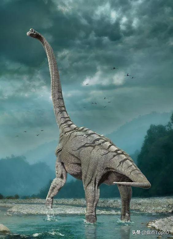 最大的恐龙排行榜前十名(体型最大的10种植食性恐龙)