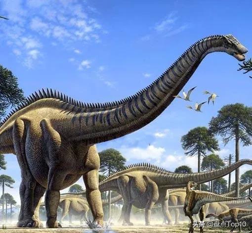 最大的植食性恐龙图片