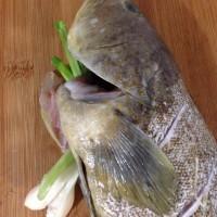 清蒸石斑鱼的做法(清蒸石斑鱼的正宗做法视频)