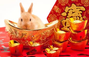 2023兔年是从元旦开始算还是春节开始算(2023年什么时候是开始算兔年)