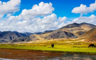 12月份可以去西藏旅游吗(12月去西藏旅游都需要准备什么)